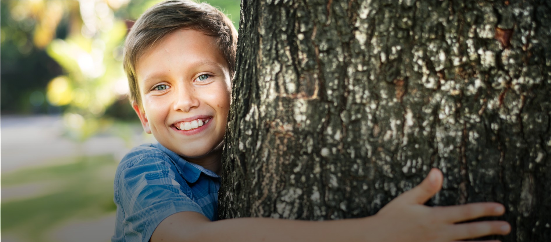 Portal_das_escolas_machico